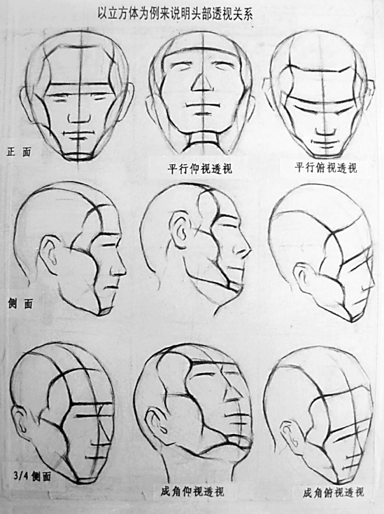 以立方体为例,头部不同角度的透视图