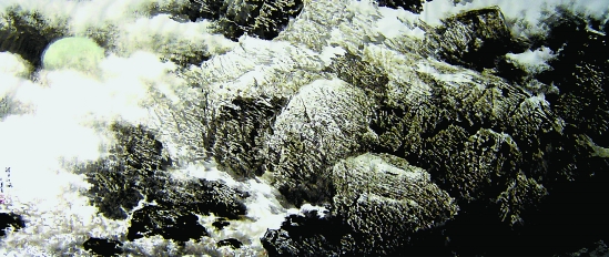 鞠太运    浩月江风