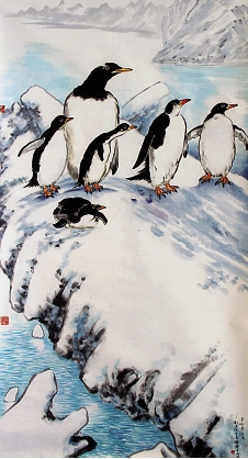 刘光政 南极绅士企鹅