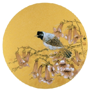傅义坤 桐花栖羽 35×35cm