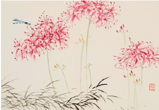 杨象宪 石蒜 32×46cm 2006年