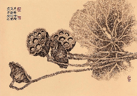 王艺峰  艺峰小品之莲蓬   50×68cm  纸本设色  2013年