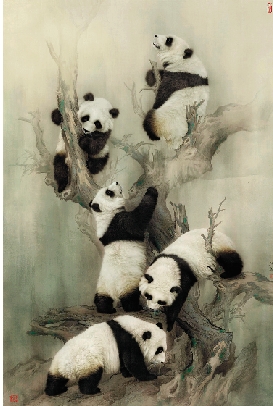 王申勇工笔熊猫步骤图片